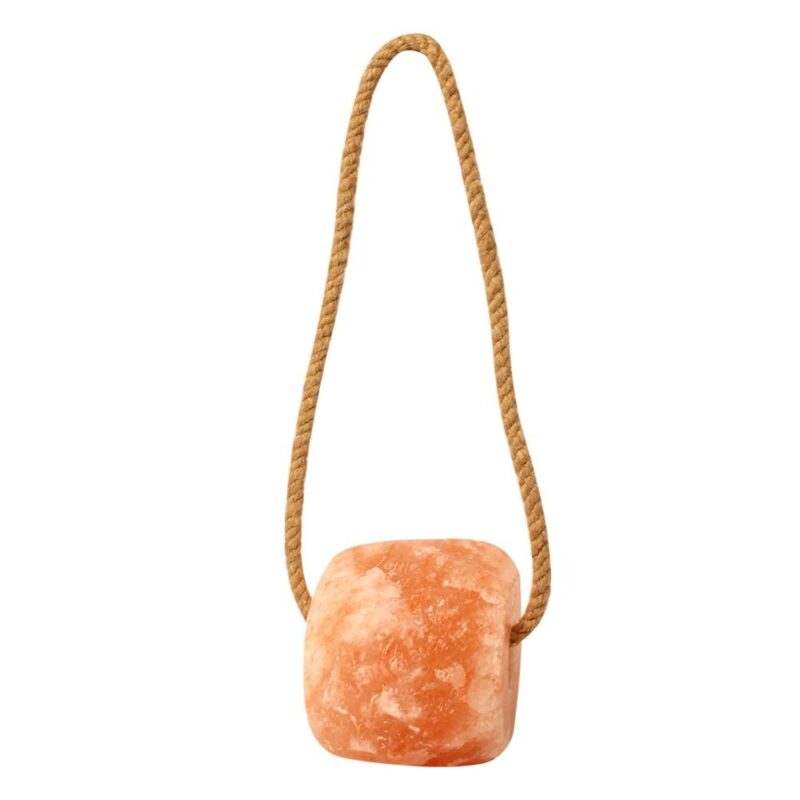 himalayan salt lick for animals